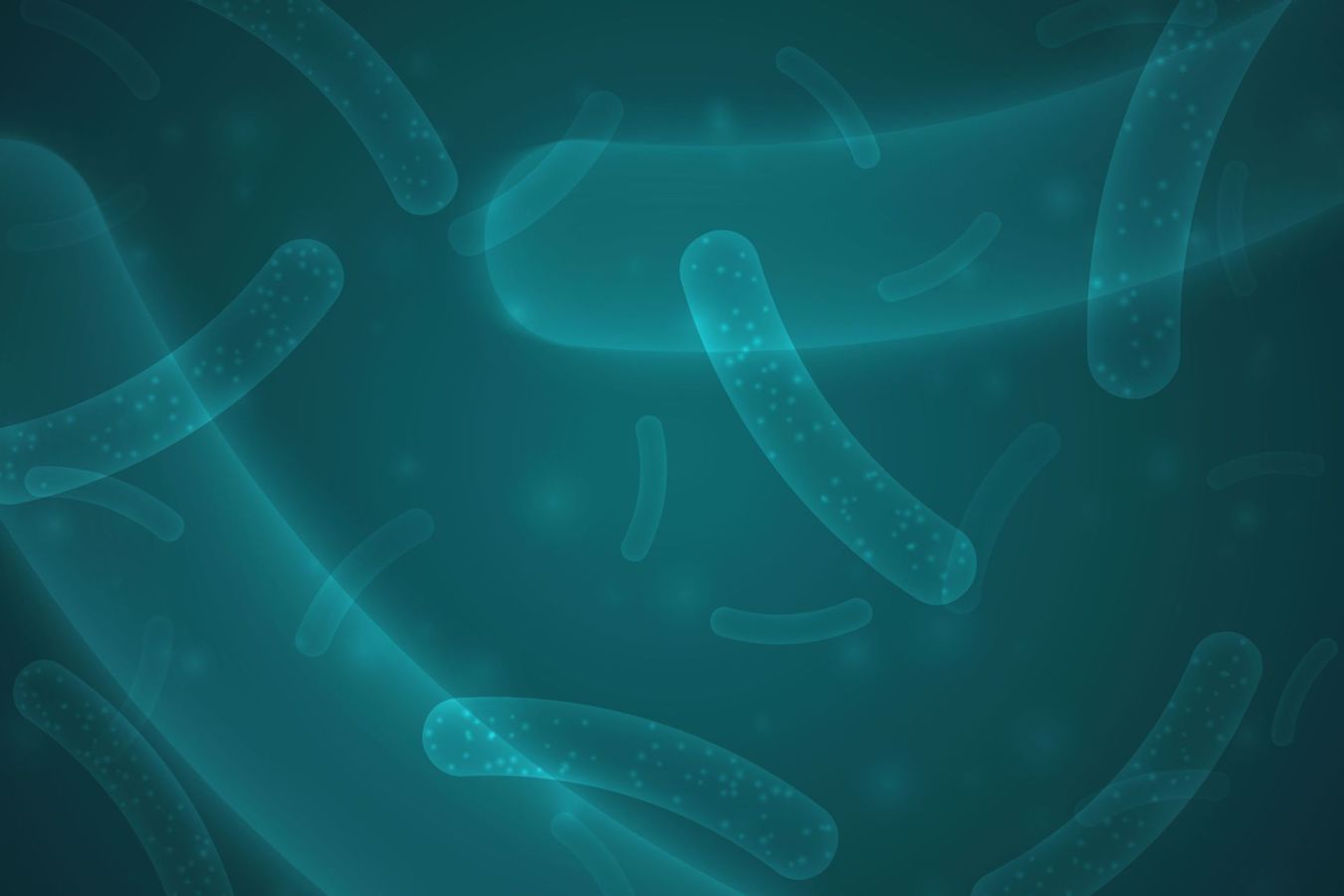 Prebióticos y Probióticos cuidan tu piel