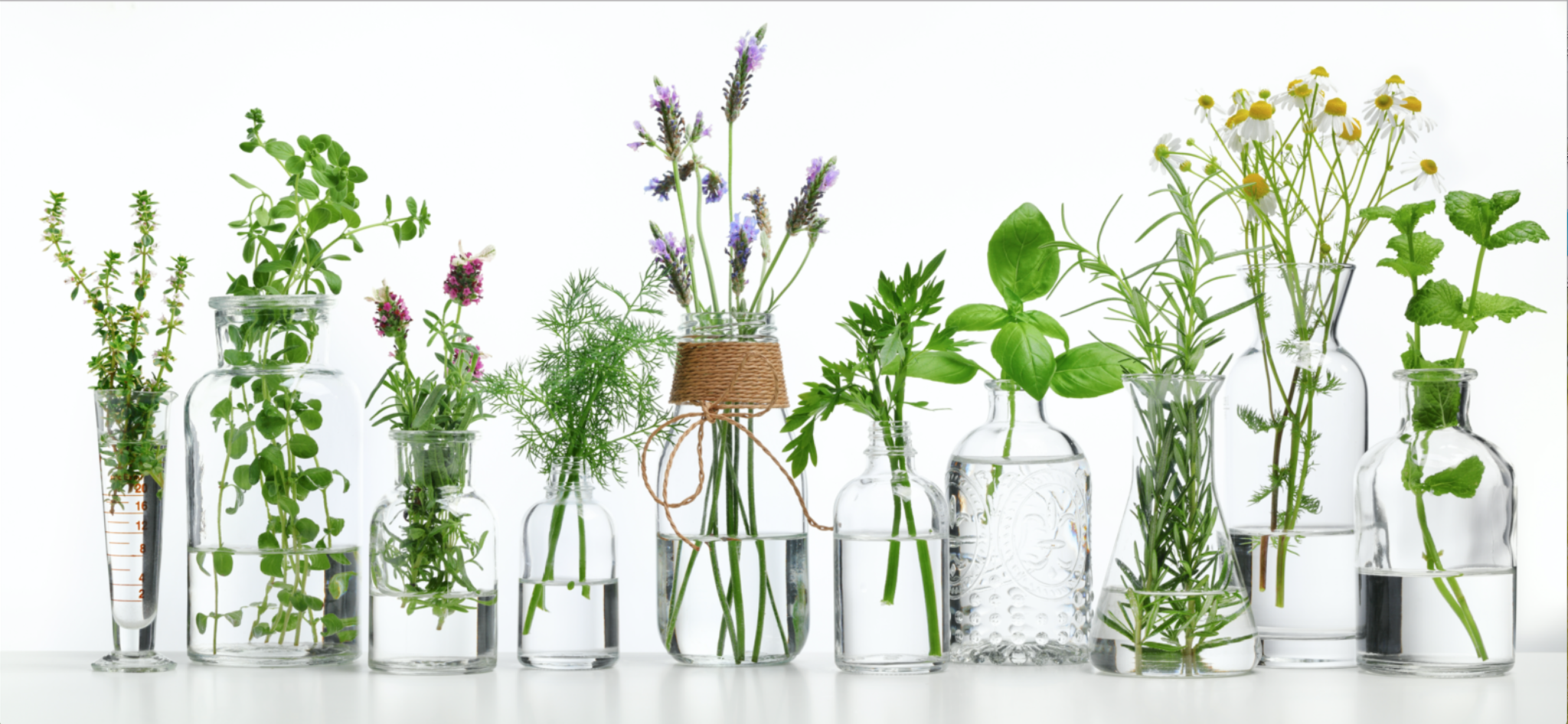 Aromaterapia, Una Gran Historia